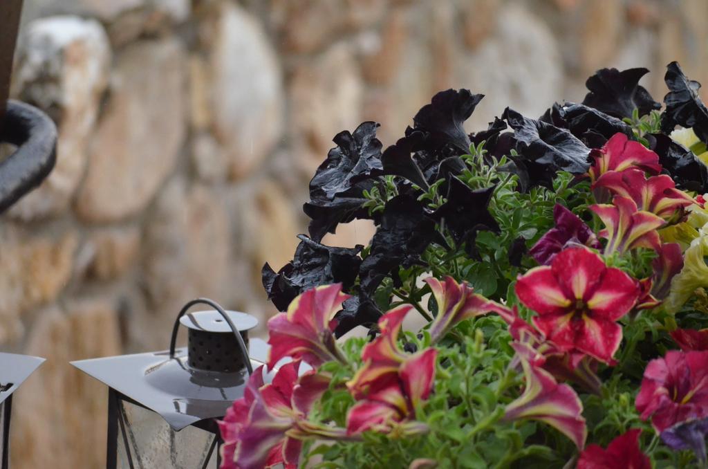 Paroraia Otel Ángistron Dış mekan fotoğraf